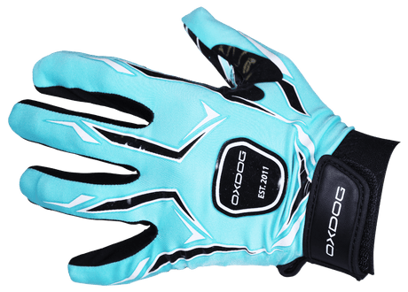 Tour Goalie Gloves